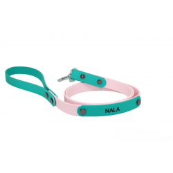 Pastel green/pastel pink strap